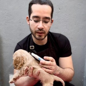 Leia mais sobre o artigo Você sabe como é feita a leitura de microchip para cães e sua utilidade?